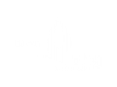 VHG logo